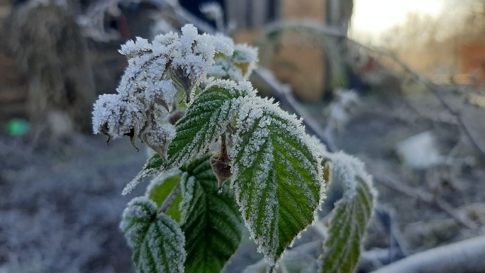 Photograph by Николай Дмитриев