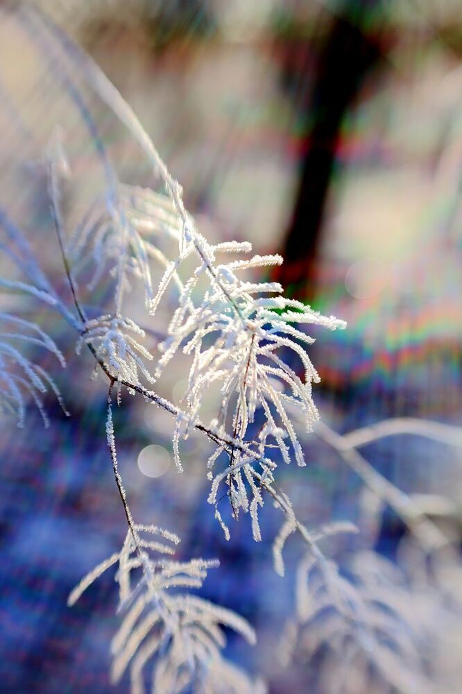 Photograph by Юрий Варюхин