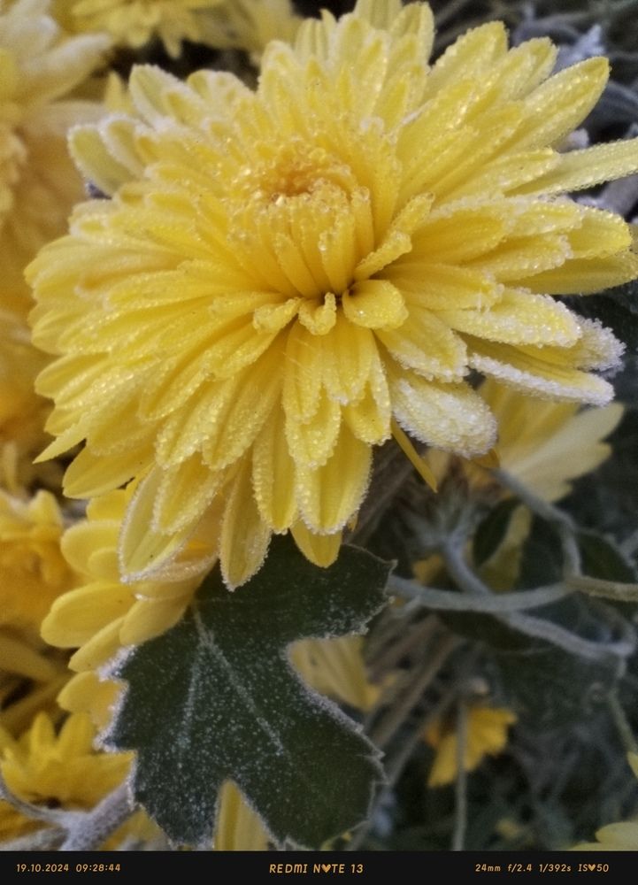 Photograph by Tatiana