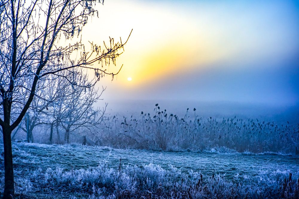 Photograph by Крупченко Роман