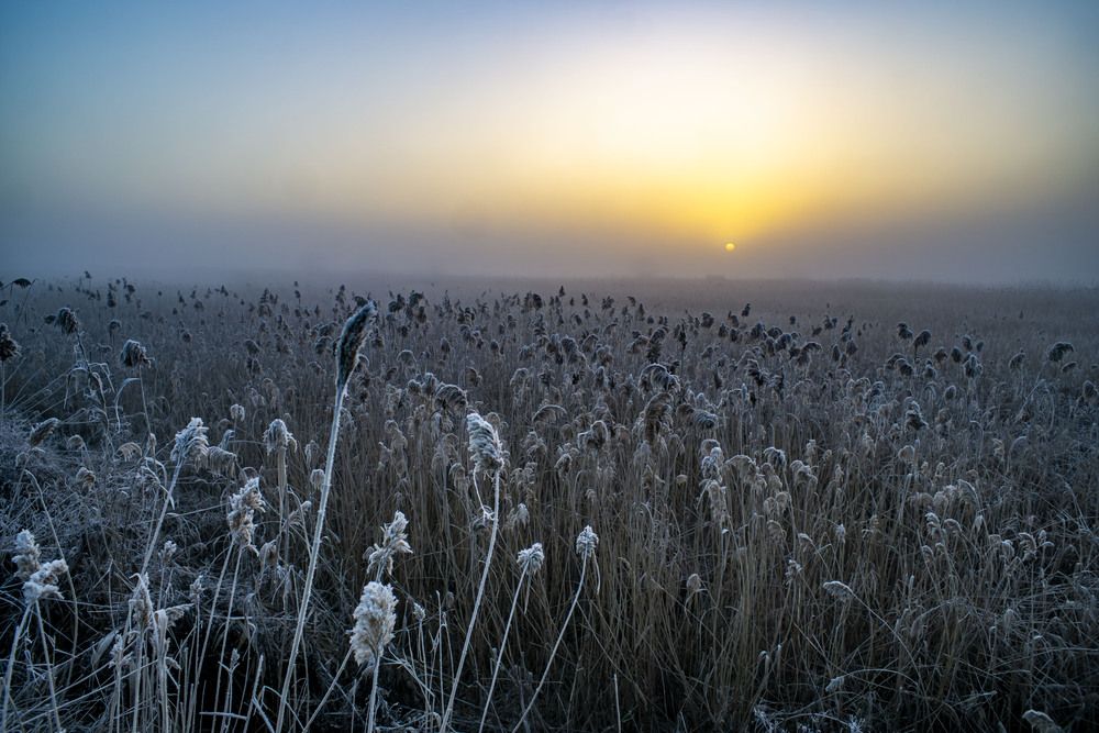 Photograph by Крупченко Роман