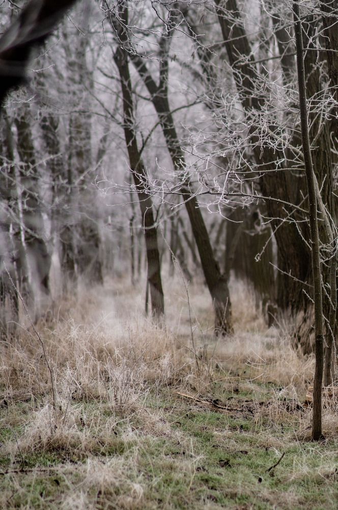 Photograph by Крупченко Роман