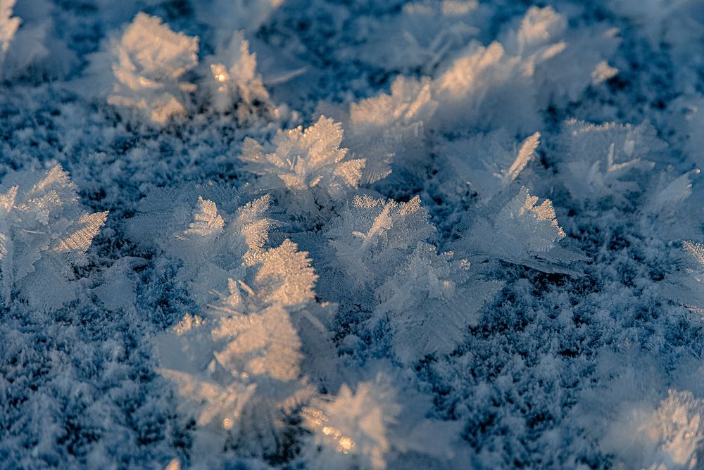 Синий синий иней