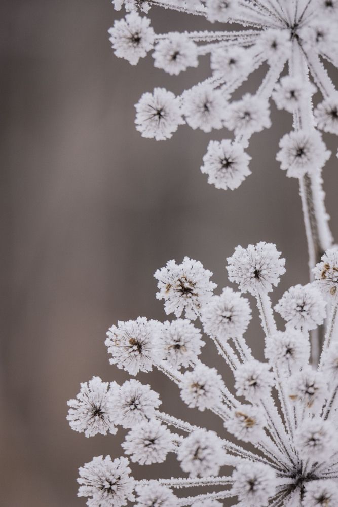 Photograph by Елена Перминова