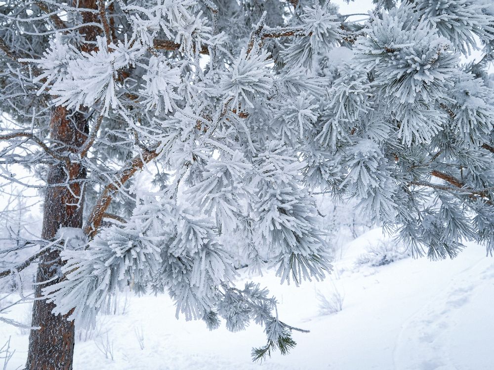 Photograph by Inna Ivanova