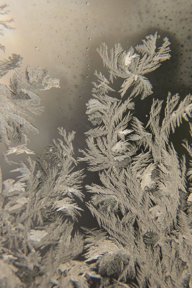 Photograph by Елена Перминова