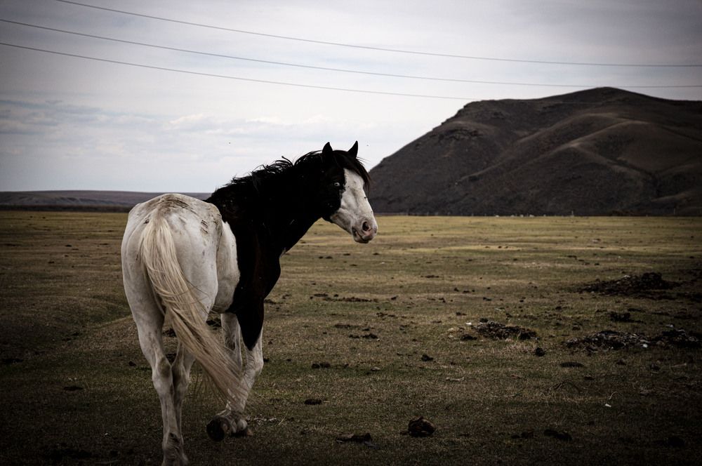 Photograph by Крупченко Роман