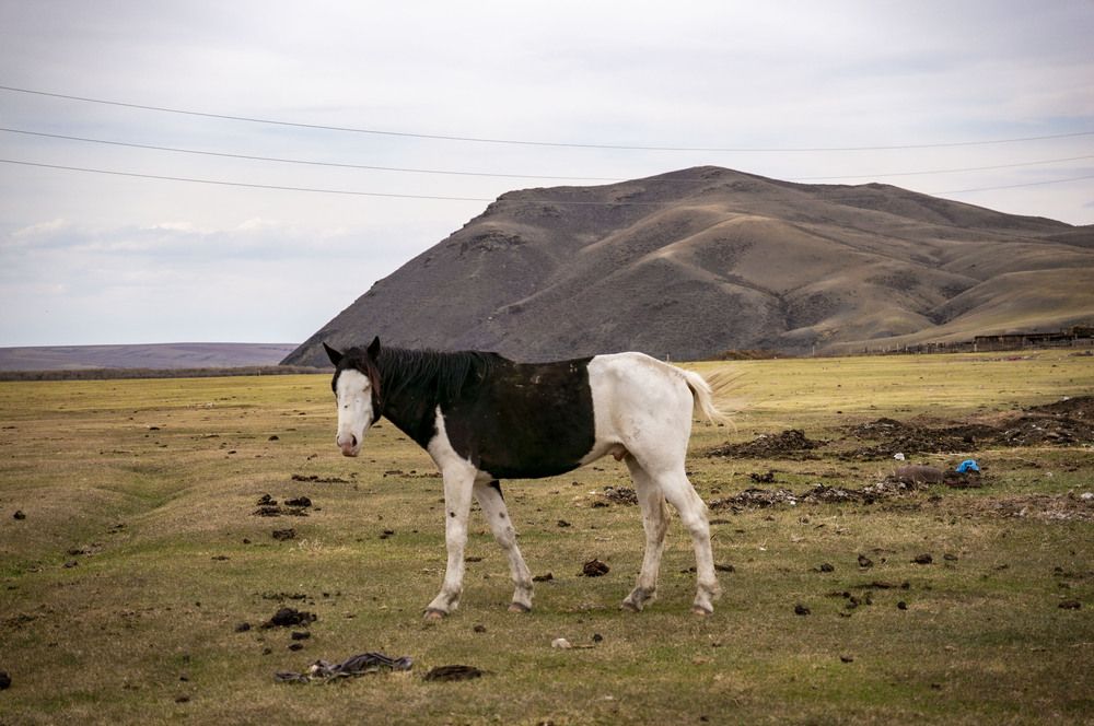 Photograph by Крупченко Роман