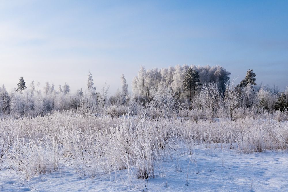 Photograph by Александр Журавлев