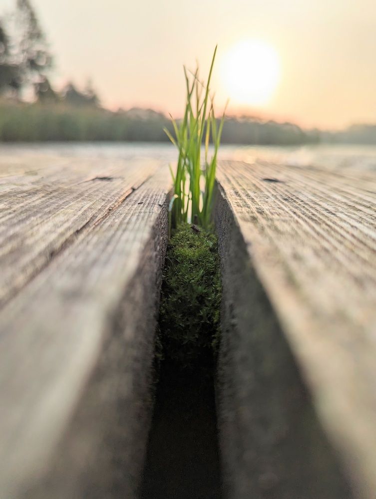 Photograph by Александр Айзенштадт