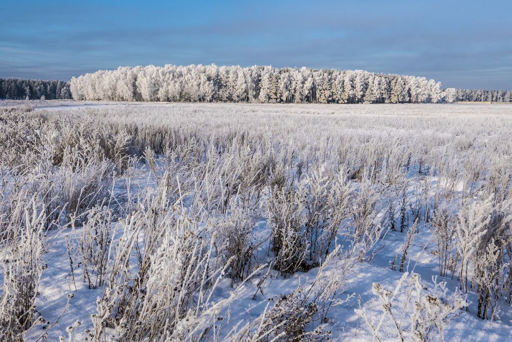 Photograph by Александр Журавлев