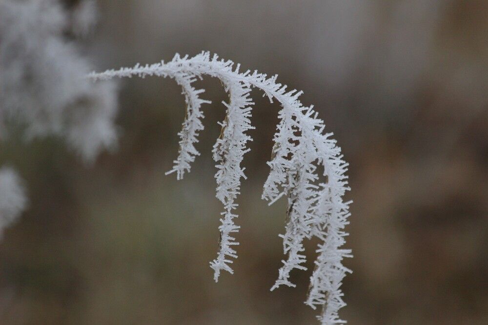 Photograph by Olga Buzuleva