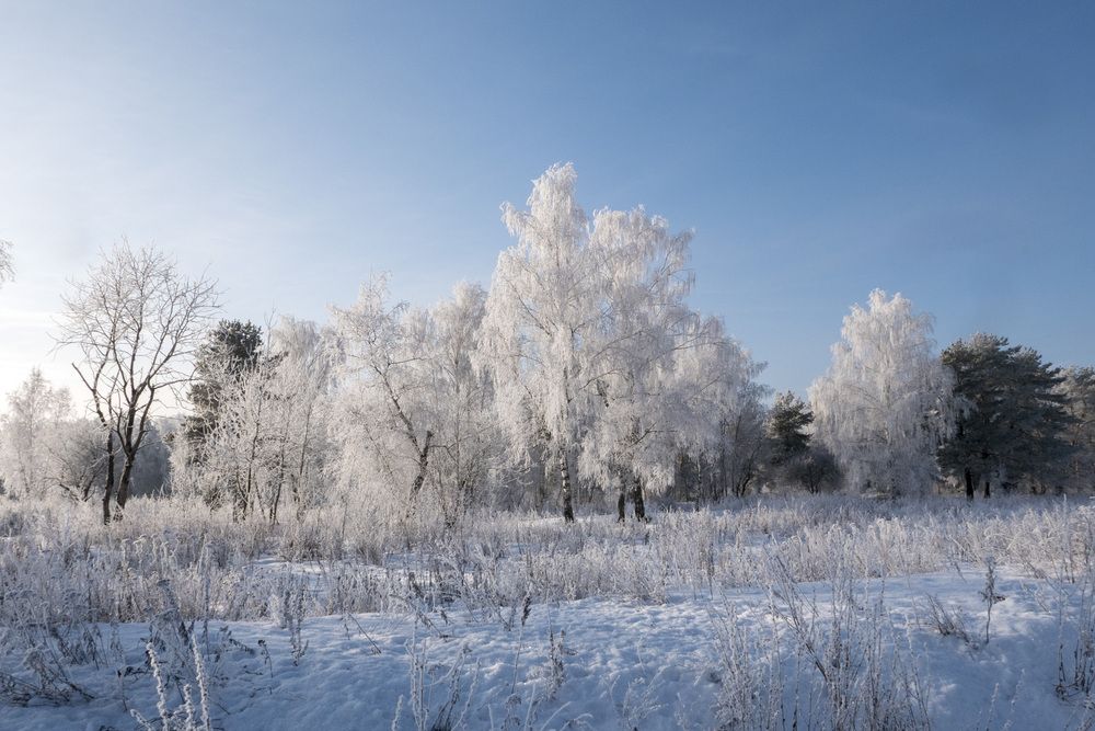 Photograph by Александр Журавлев