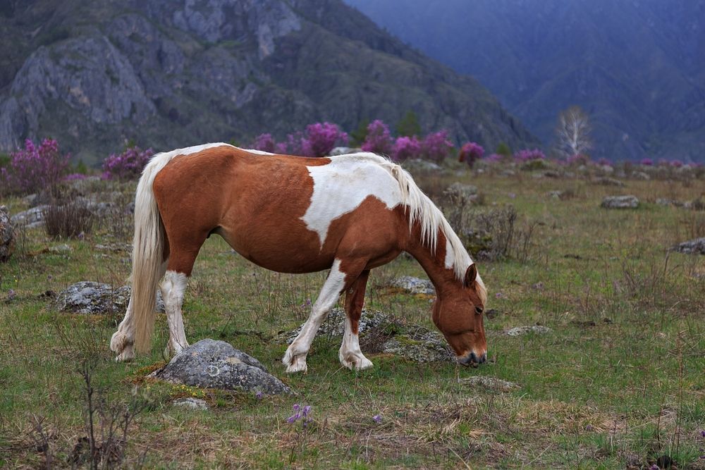 Photograph by виктор ковчин