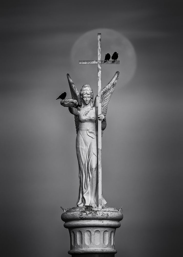 Фотография автора Zakharov Armen