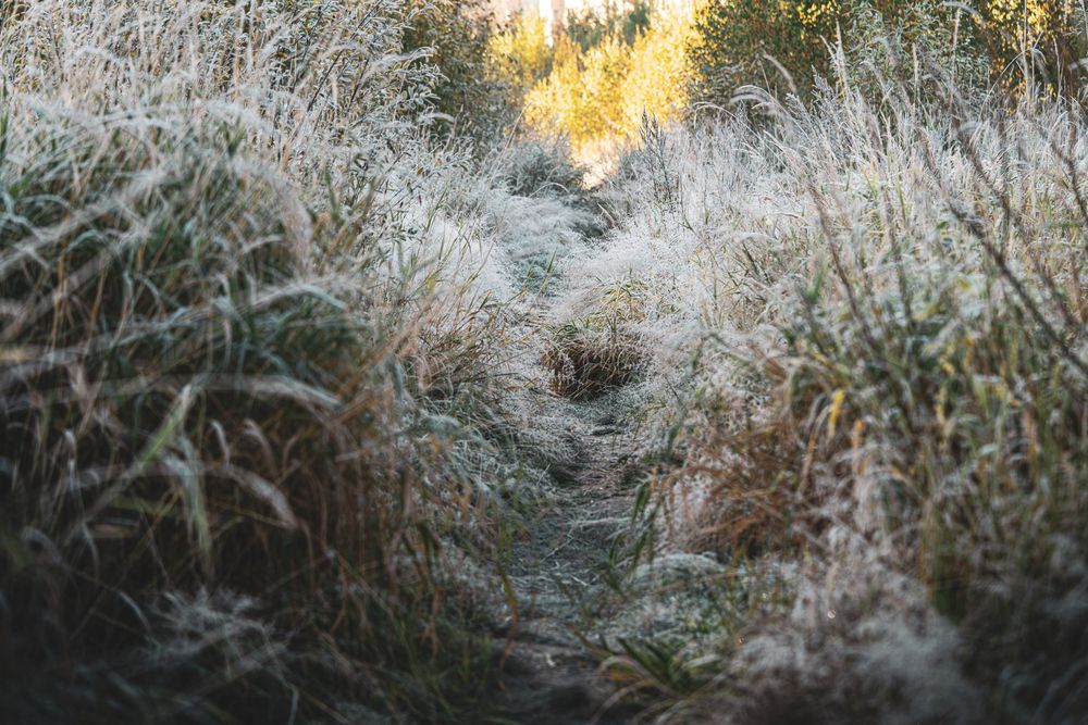 Photograph by Алексей Поликарпов