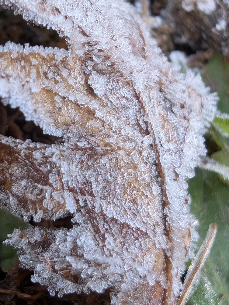 Фотография автора Ian Heard