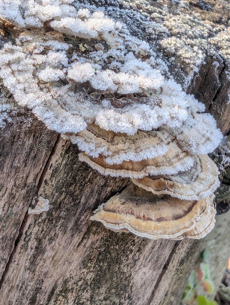 Фотография автора Ian Heard