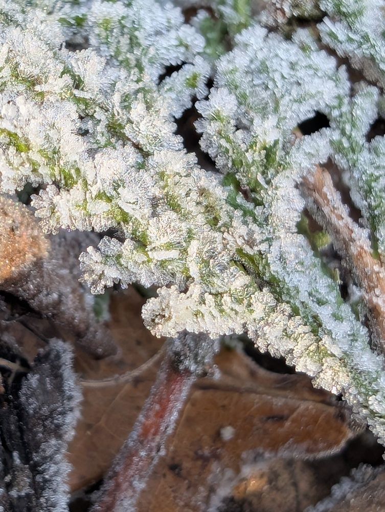 Фотография автора Ian Heard