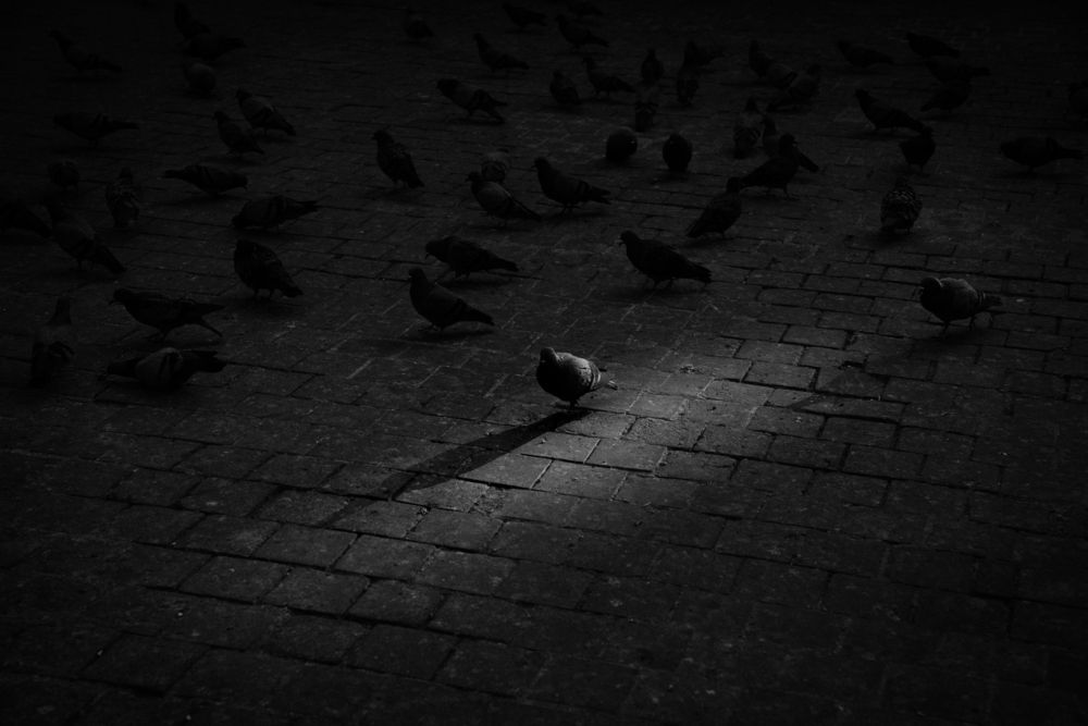 Фотография автора Nadeem Uddin