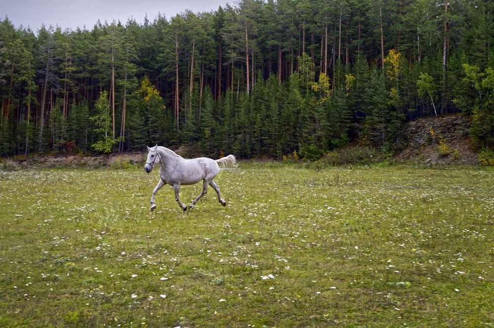Фотография автора Мишустина Татьяна