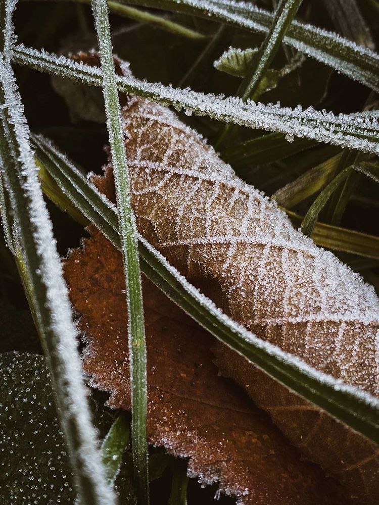 Photograph by Анастасия Гульванюк