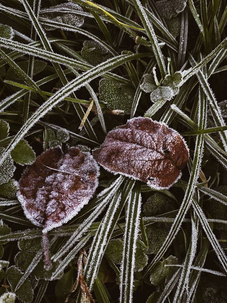 Photograph by Анастасия Гульванюк