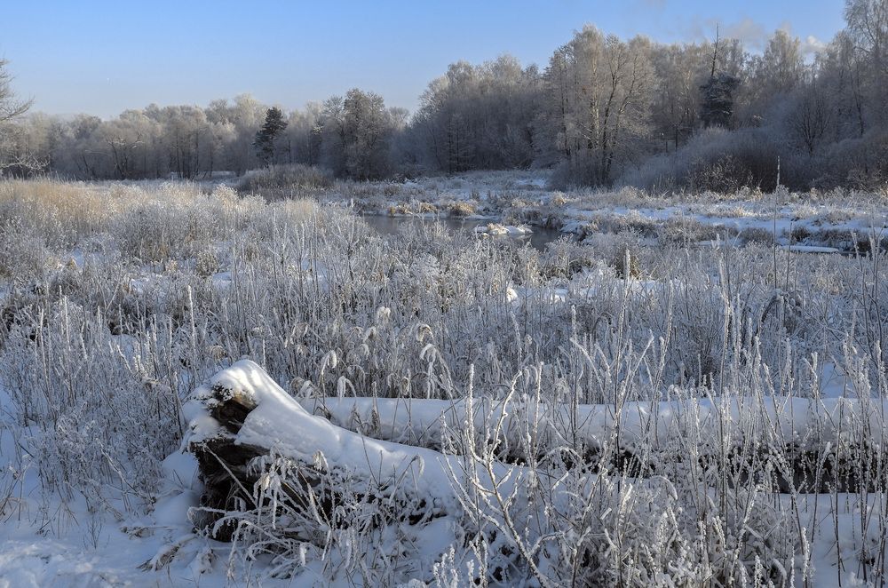 Photograph by Александр Журавлев