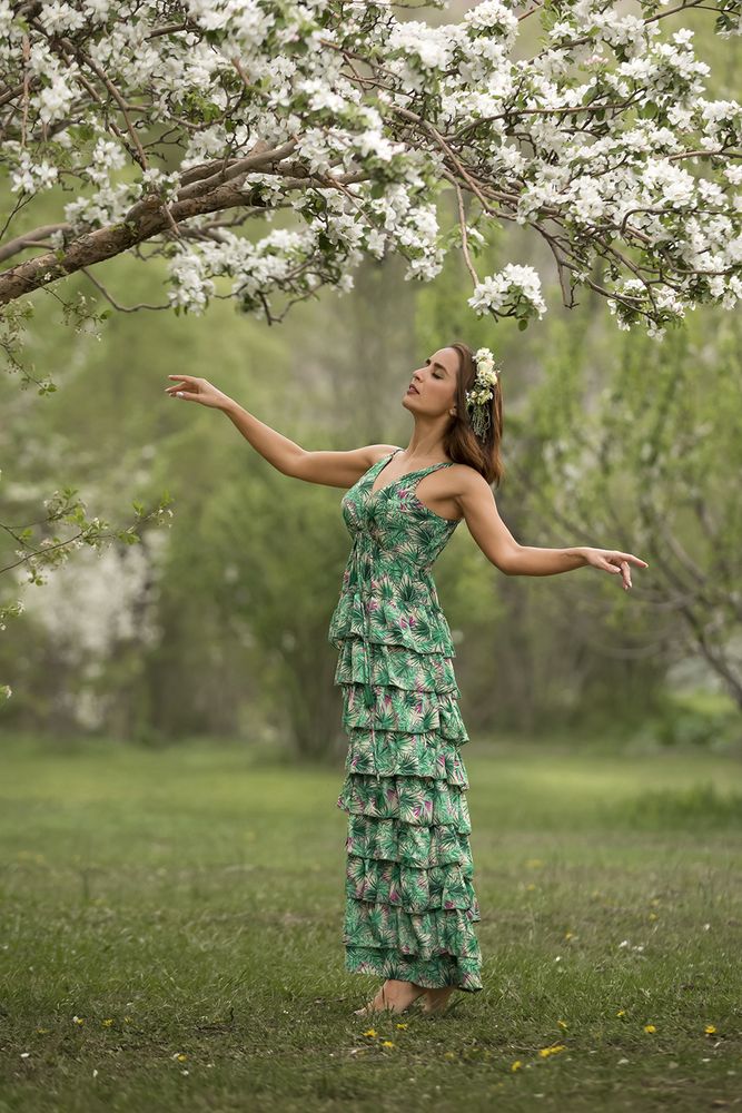 Фотография автора SABA Etehad Ketabchi