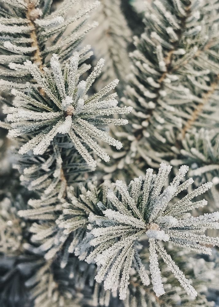 Photograph by Анна Чичилова