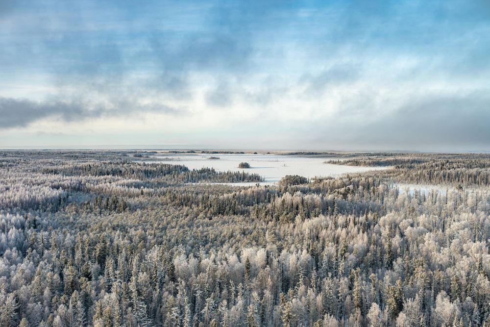 Photograph by Альварис Сукманюк