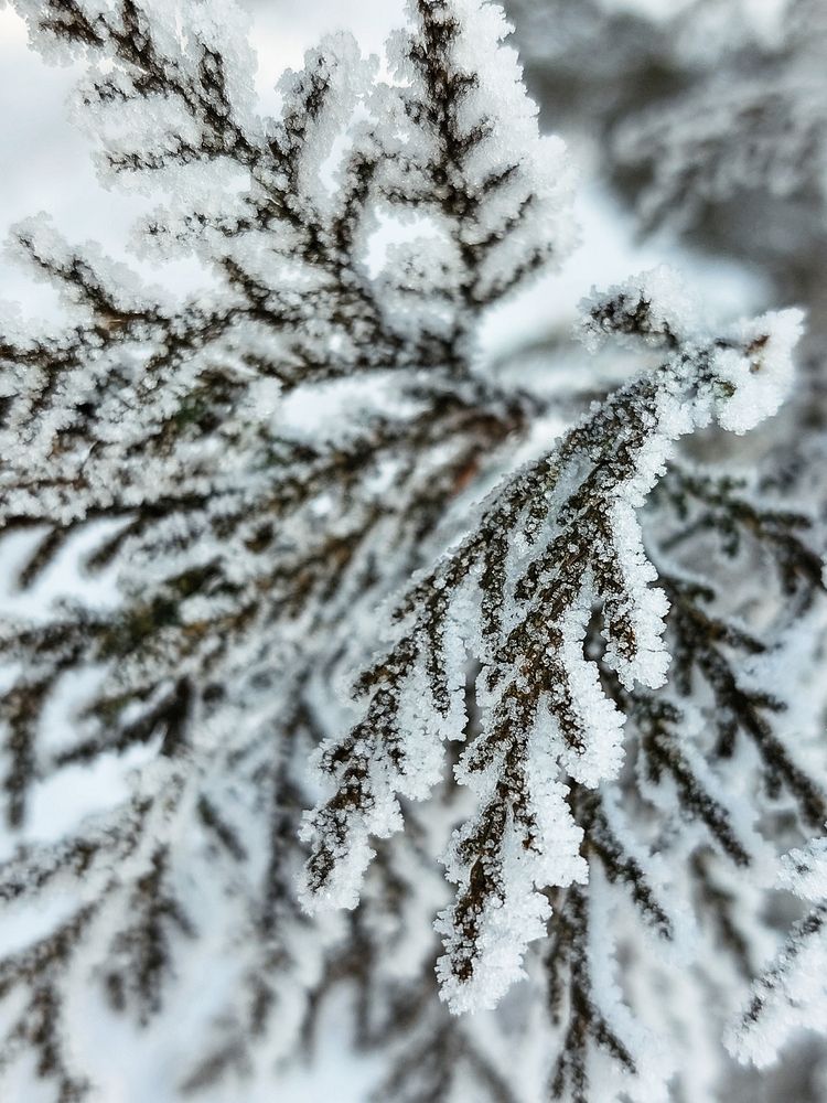 Photograph by Анна Чичилова