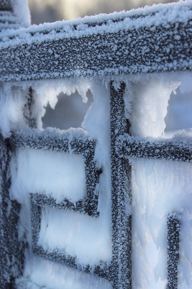 Фотография автора Тамара Караваева