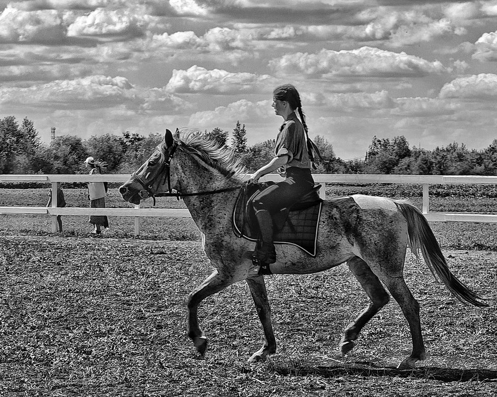 Фотография автора Сергей Кошин