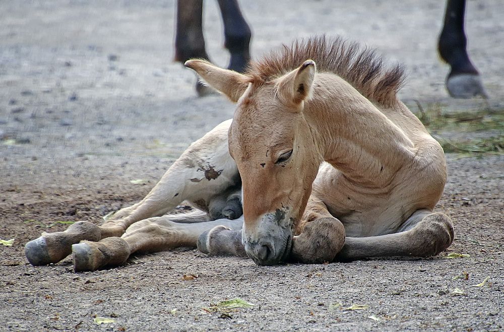 Фотография автора Александр