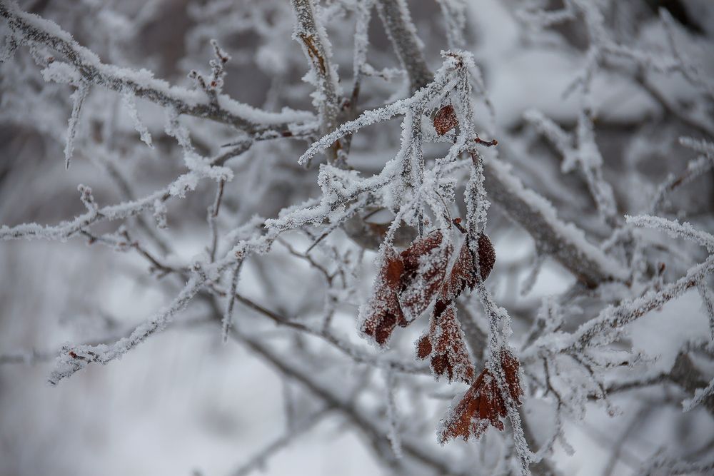 Photograph by Алексей Трифонов