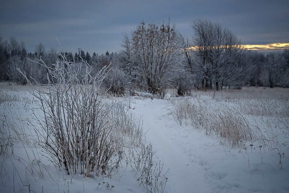 Photograph by Алексей Трифонов