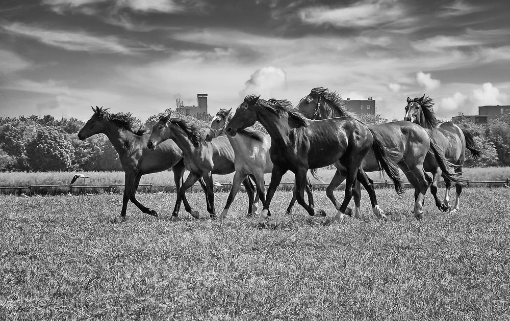 Фотография автора Александр