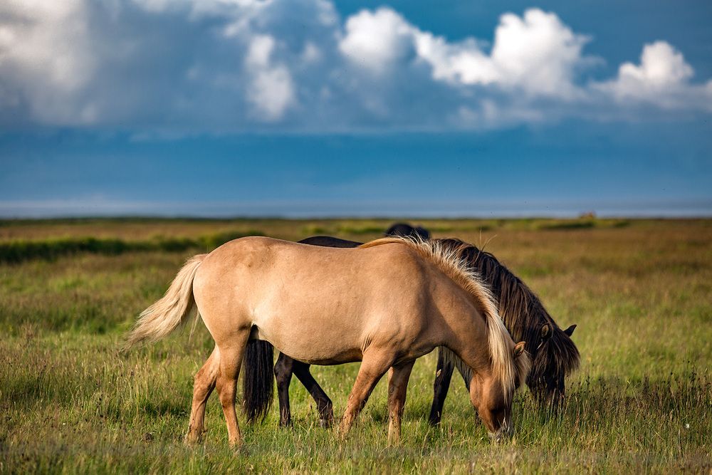Photograph by Vladimir Ostapenko