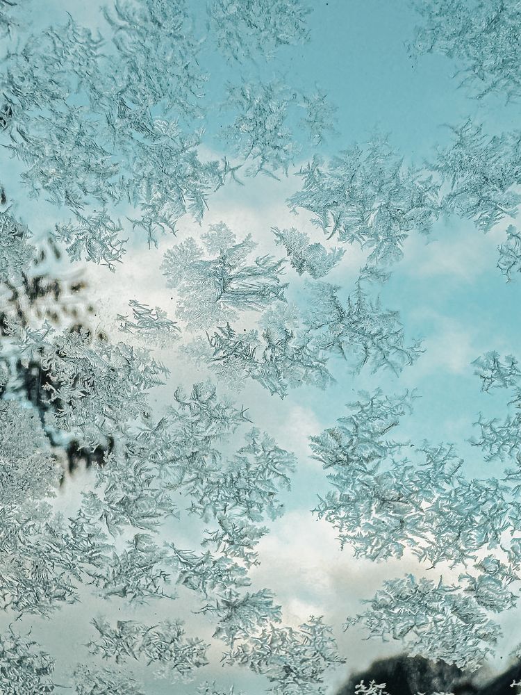 Photograph by Elena Papadopoulou