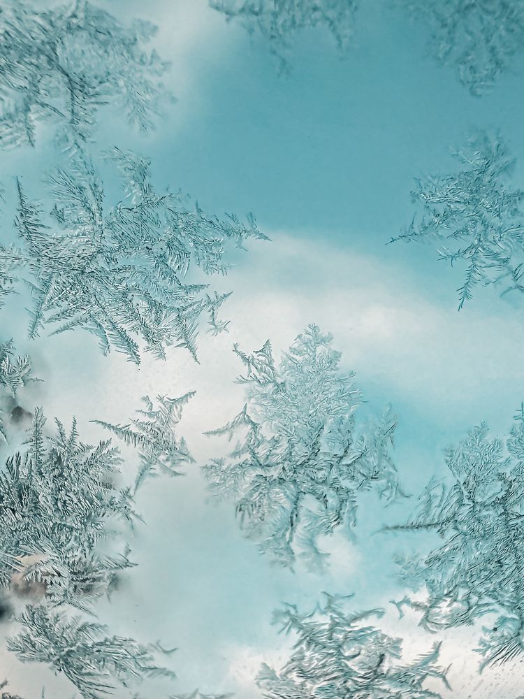 Photograph by Elena Papadopoulou