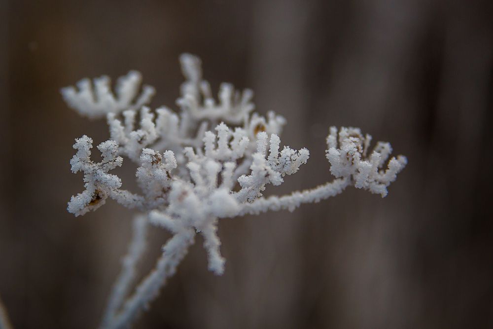 Photograph by Алексей Трифонов