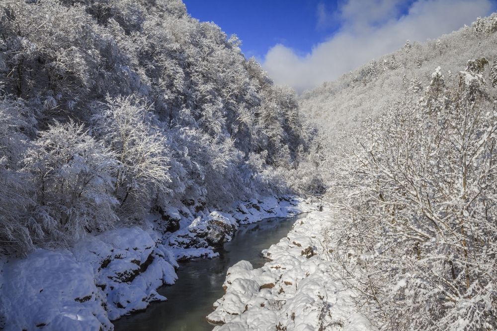 Фотография автора Галина Шепелева