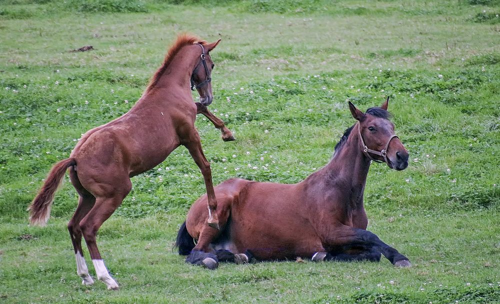 Фотография автора Александр