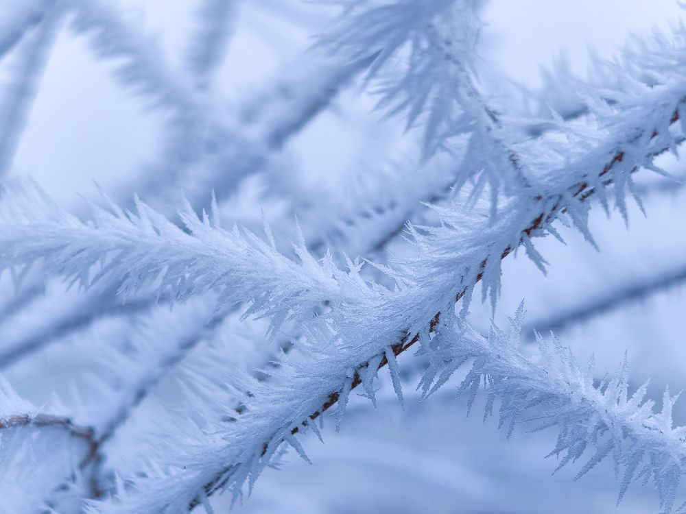 Фотография автора Владимир Ли