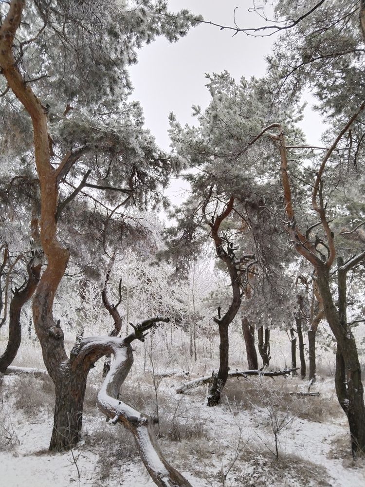 Photograph by Ольга Чернова
