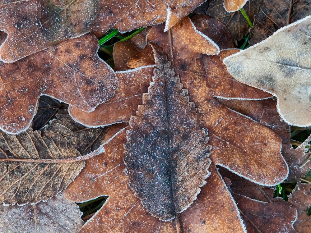 Фотография автора Владимир Ли