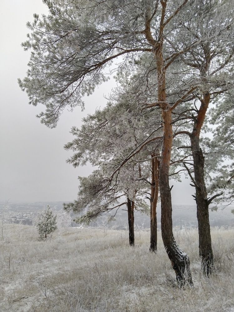 Photograph by Ольга Чернова