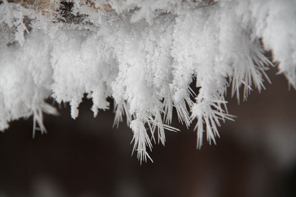 Photograph by Алфия Бугакова