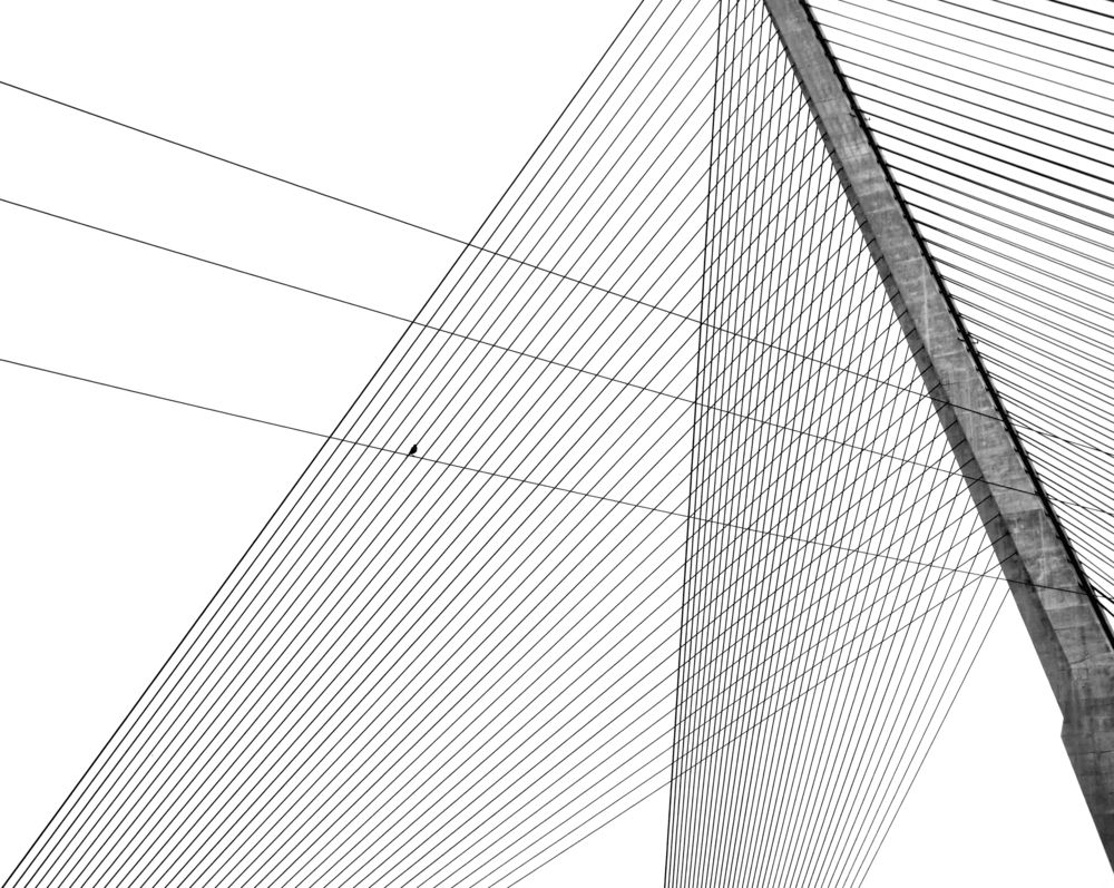 Geometria
